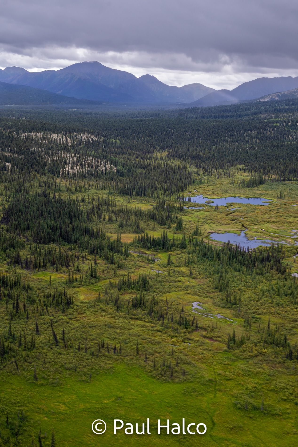 Paul Halco - Gates of the Arctic NP-38